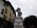 Lion from SILVANO