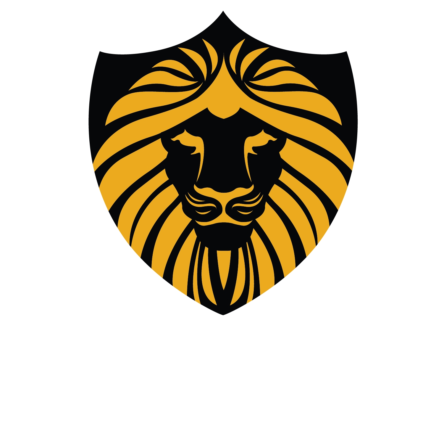VENETO CYCLING CLUB